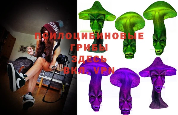 амф Абинск