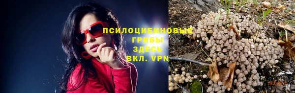 амф Абинск